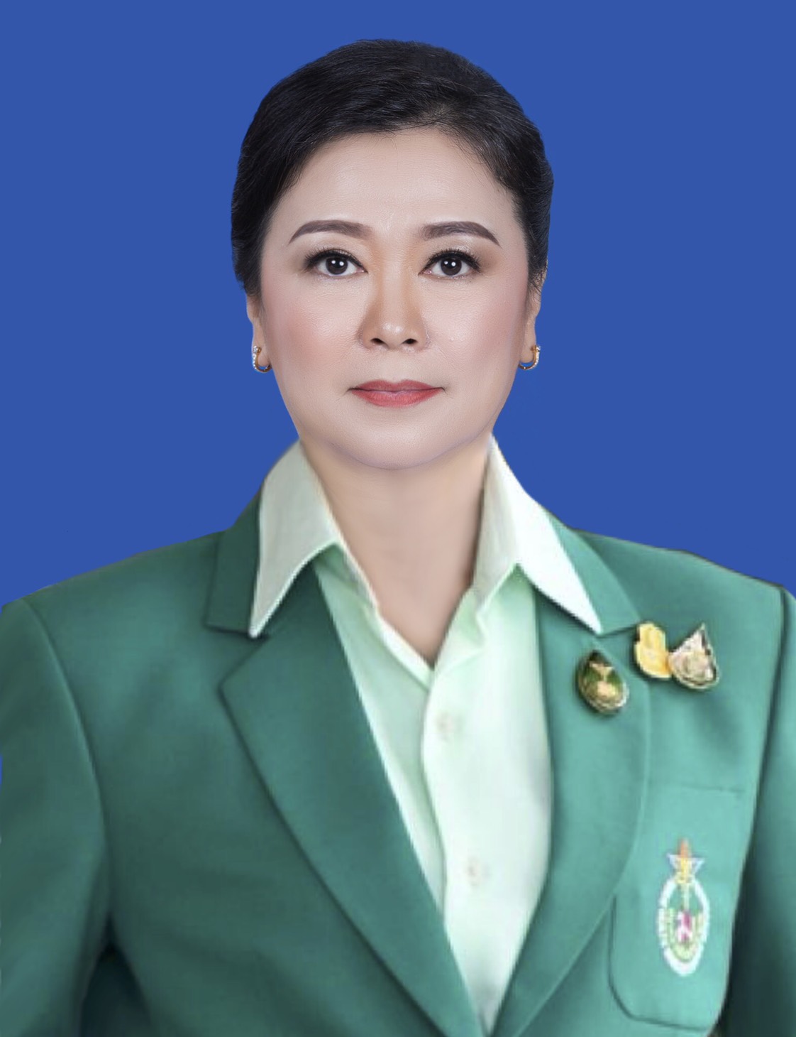 ประธานแม่บ้านสาธารณสุข สาขาจังหวัด 